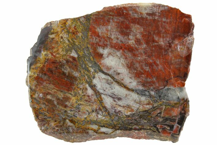 Chatoyant Binghamite Agate Slab - Minnesota #141169